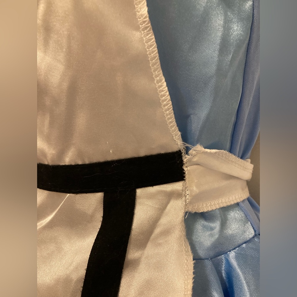 Alice in Wonderland Juniors costume dress - Picture 11 of 12